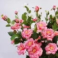 Load image into Gallery viewer, Artificial Flowers Cheap Silk Hydrangea Bride Bouquet Wedding Home New Year Decoration Accessories for Vase Plants Arrangement