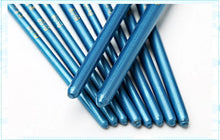 Load image into Gallery viewer, 6/10pcs set Nylon Hair Paint Brush Set Drawing Art Supplies