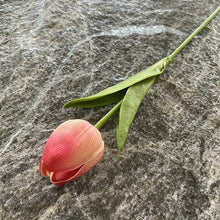 Load image into Gallery viewer, 5PCS 32CM Soft Adhesive Tulip Artificial Flower Home Model Room Decoration Tulip Wedding Hotel Decoration Flower