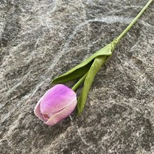 Load image into Gallery viewer, 5PCS 32CM Soft Adhesive Tulip Artificial Flower Home Model Room Decoration Tulip Wedding Hotel Decoration Flower