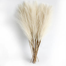 Load image into Gallery viewer, 6PCS Artificial Pampas Grass Decor Flowers Fake Plant Reed for DIY Floral Table Arrange Flower Wedding Home Christmas Decoration