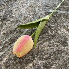 Load image into Gallery viewer, 5PCS 32CM Soft Adhesive Tulip Artificial Flower Home Model Room Decoration Tulip Wedding Hotel Decoration Flower