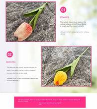Load image into Gallery viewer, 5PCS 32CM Soft Adhesive Tulip Artificial Flower Home Model Room Decoration Tulip Wedding Hotel Decoration Flower