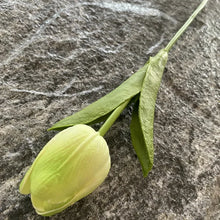 Load image into Gallery viewer, 5PCS 32CM Soft Adhesive Tulip Artificial Flower Home Model Room Decoration Tulip Wedding Hotel Decoration Flower