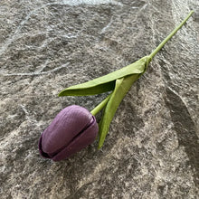 Load image into Gallery viewer, 5PCS 32CM Soft Adhesive Tulip Artificial Flower Home Model Room Decoration Tulip Wedding Hotel Decoration Flower
