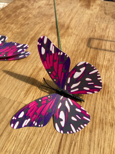 Butterfly Pink, Purple & White