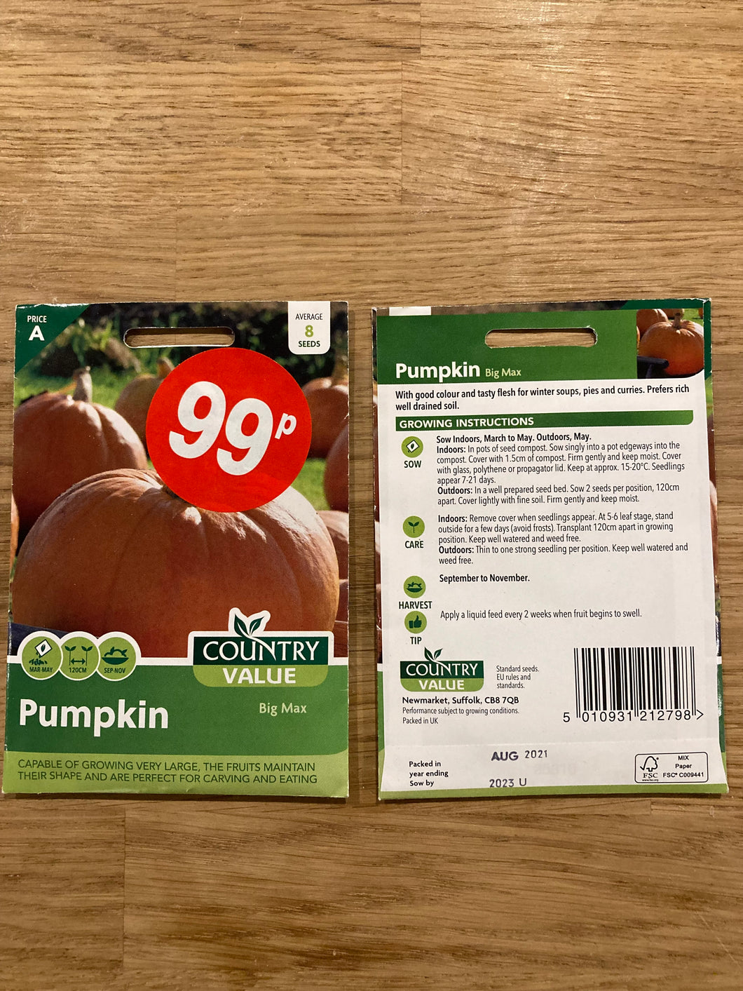 Pumpkin Big Max Seeds