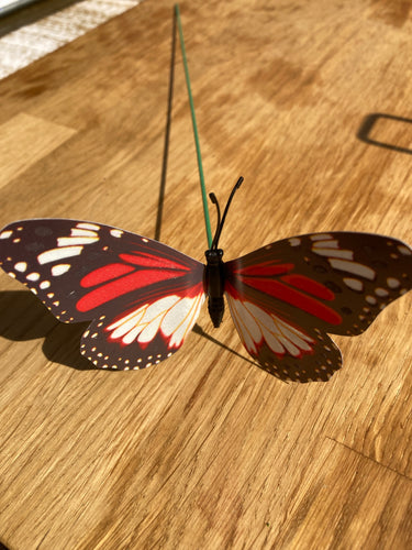 Butterfly Red & Black & White