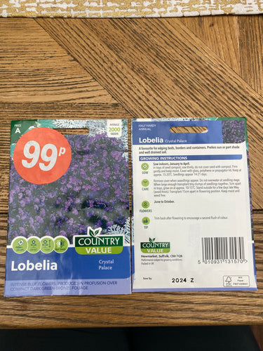 Lobelia Flower Seeds