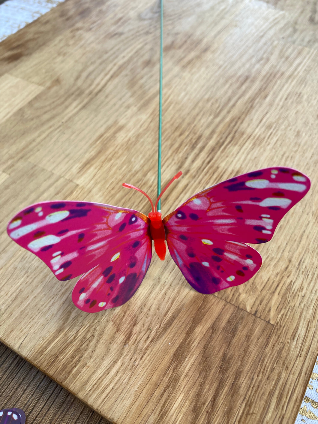 Butterfly Pink