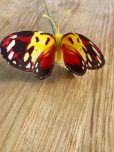 Load image into Gallery viewer, Butterfly Orange &amp; Yellow