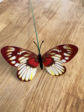 Load image into Gallery viewer, Butterfly Rusty Red &amp; Yellow