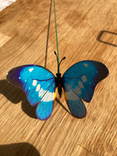 Load image into Gallery viewer, Butterfly Sea Blue &amp; Black